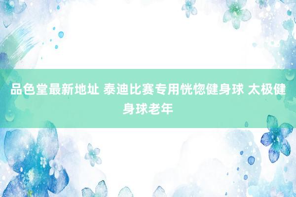 品色堂最新地址 泰迪比赛专用恍惚健身球 太极健身球老年