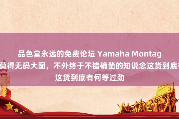 品色堂永远的免费论坛 Yamaha Montage：天然并莫得无码大图，不外终于不错确凿的知说念这货到底有何等过劲