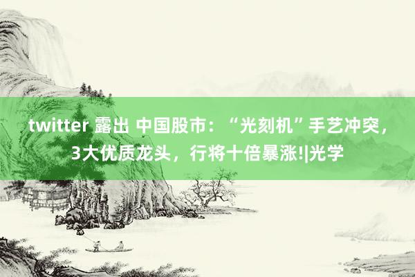 twitter 露出 中国股市：“光刻机”手艺冲突，3大优质龙头，行将十倍暴涨!|光学