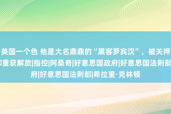 美国一个色 他是大名鼎鼎的“黑客罗宾汉”，被关押多年，认罪后却重获解放|指控|阿桑奇|好意思国政府|好意思国法则部|希拉里·克林顿