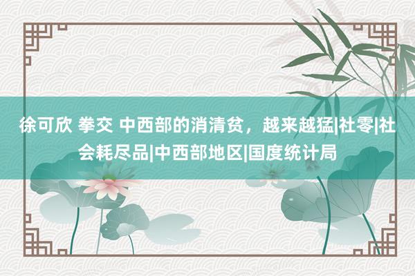 徐可欣 拳交 中西部的消清贫，越来越猛|社零|社会耗尽品|中西部地区|国度统计局