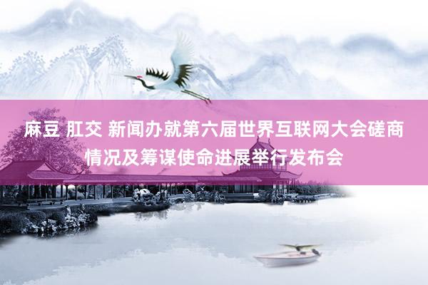 麻豆 肛交 新闻办就第六届世界互联网大会磋商情况及筹谋使命进展举行发布会