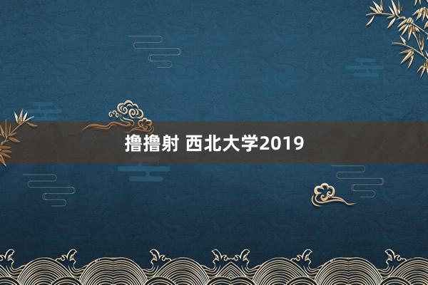 撸撸射 西北大学2019