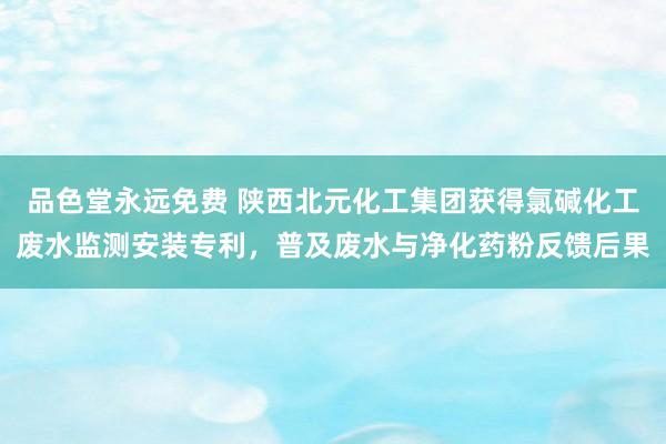 品色堂永远免费 陕西北元化工集团获得氯碱化工废水监测安装专利，普及废水与净化药粉反馈后果