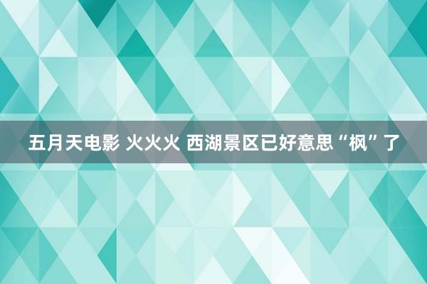 五月天电影 火火火 西湖景区已好意思“枫”了