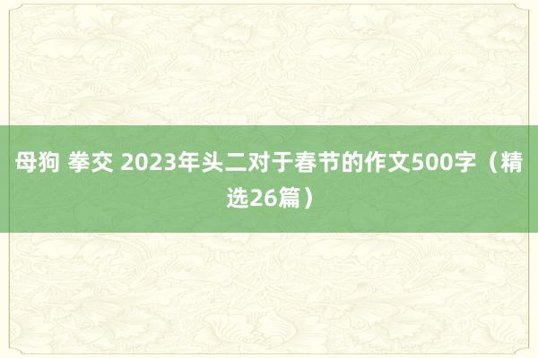 母狗 拳交 2023年头二对于春节的作文500字（精选26篇）